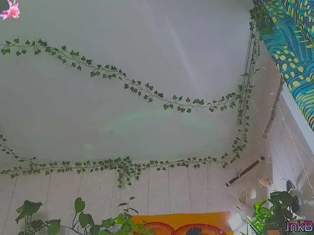 DeadButterfly on BongaCams