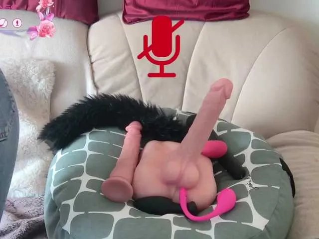 Freechat LISACAM2CAM on BongaCams