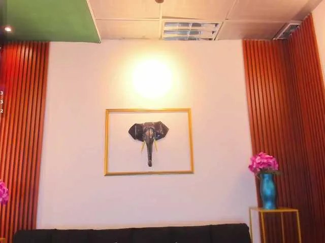 Zayyda from BongaCams