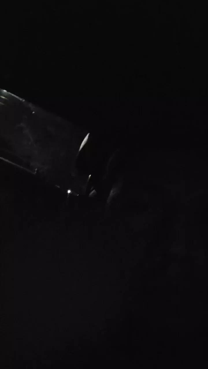 Antoniovasqu on Cam4 