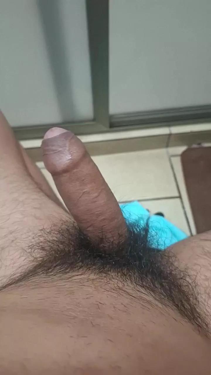 bert219 on Cam4