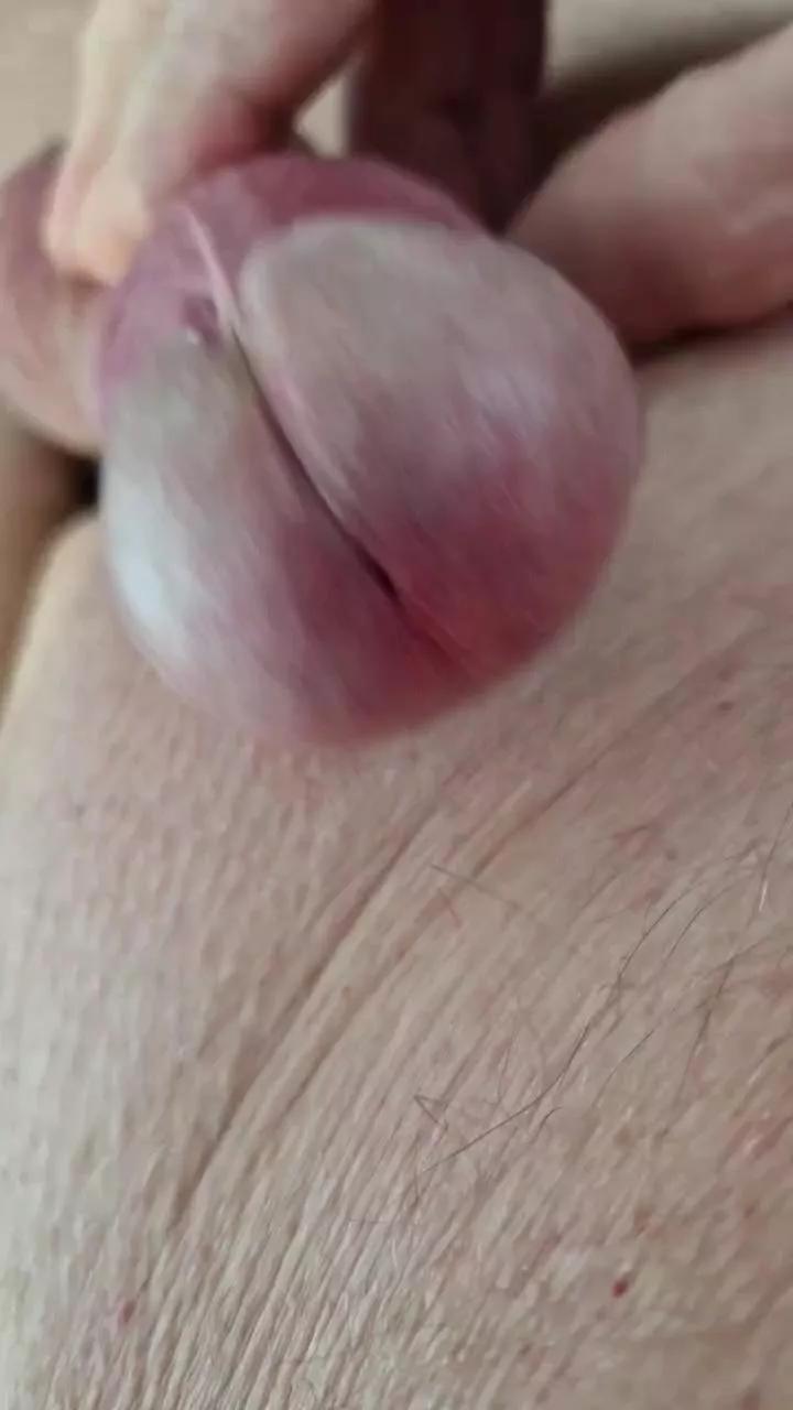 elblover on Cam4 