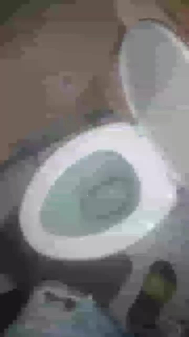 facor1 on Cam4 