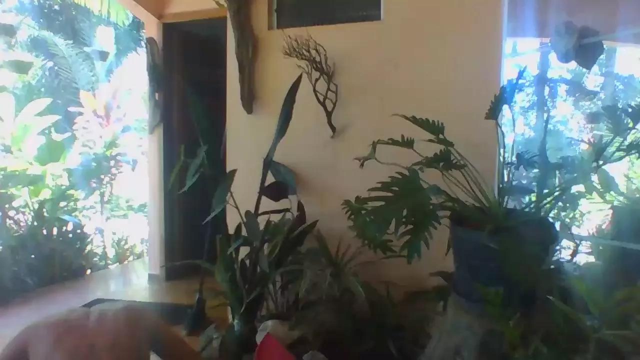 FKAEXU on Cam4 