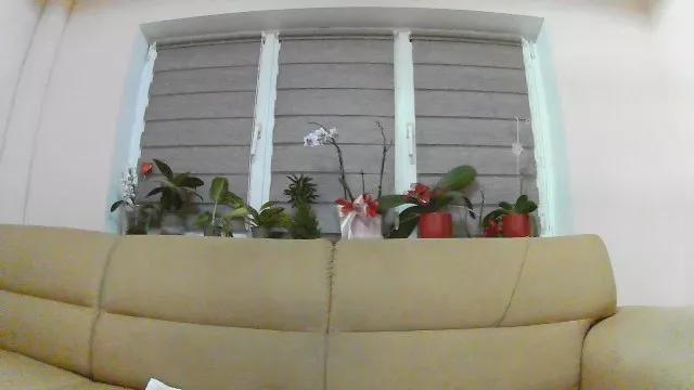 have_funnn on Cam4 