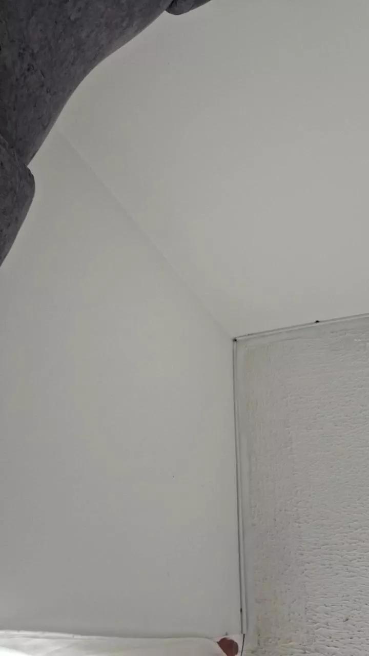 jenna36 on Cam4 