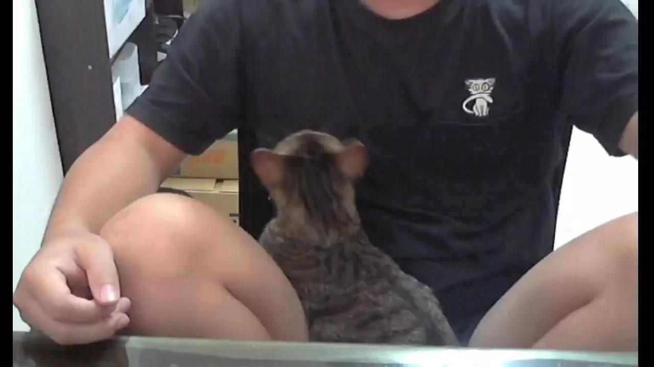 lQAQl on Cam4 