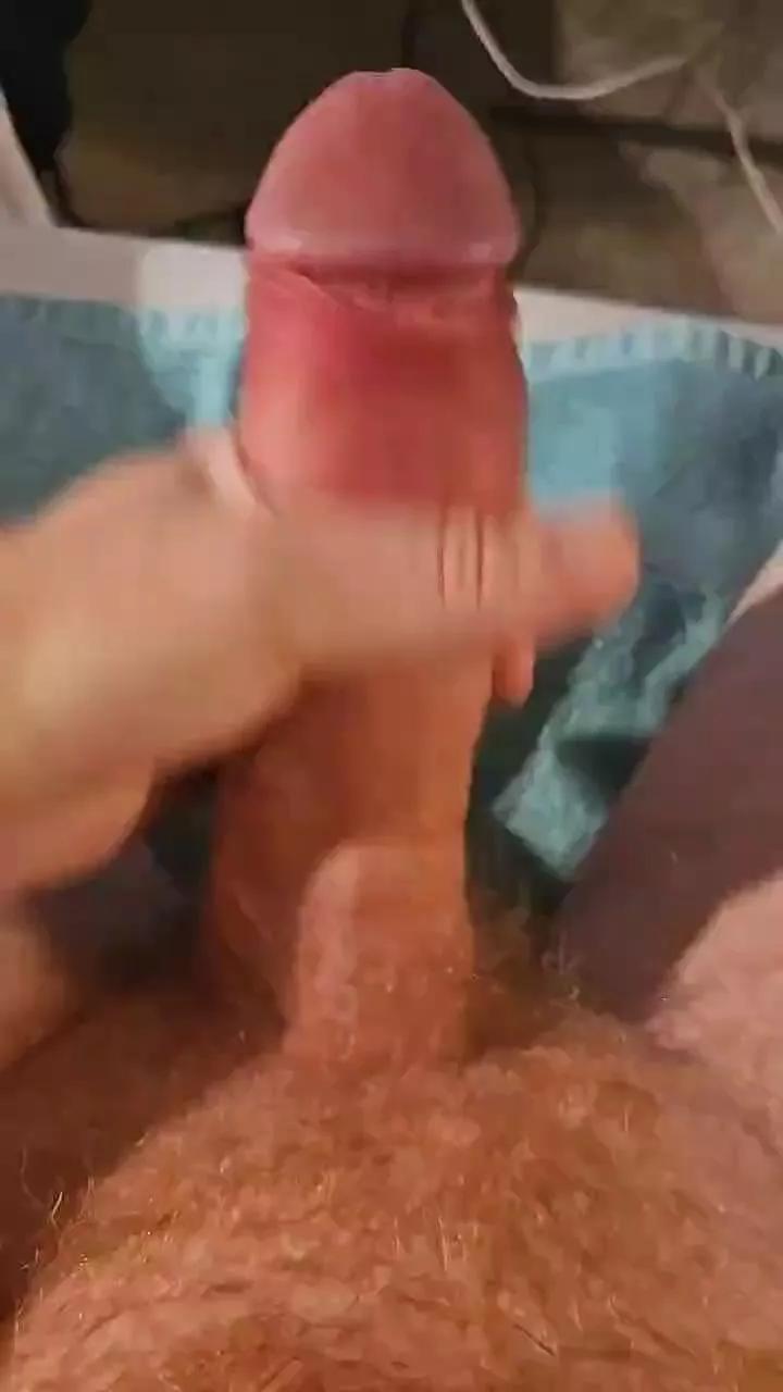 Nsj81 on Cam4 