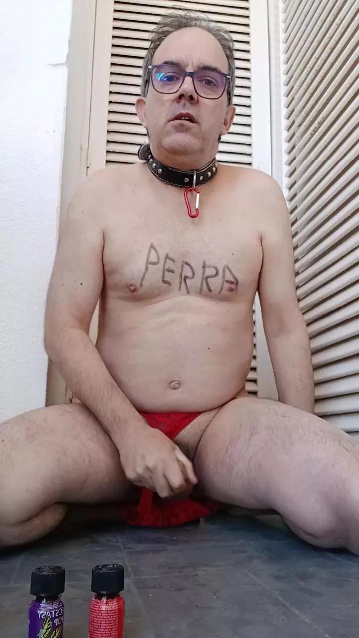 perrasum3 on Cam4 