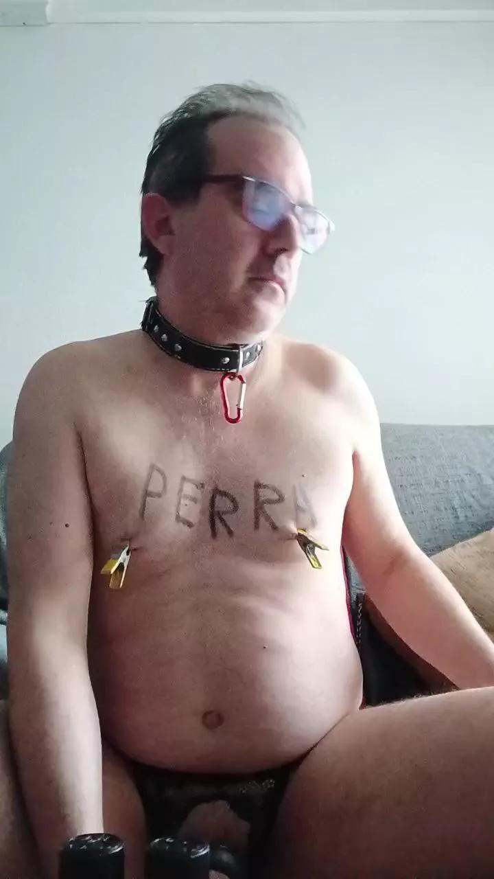 perrasum3 on Cam4 
