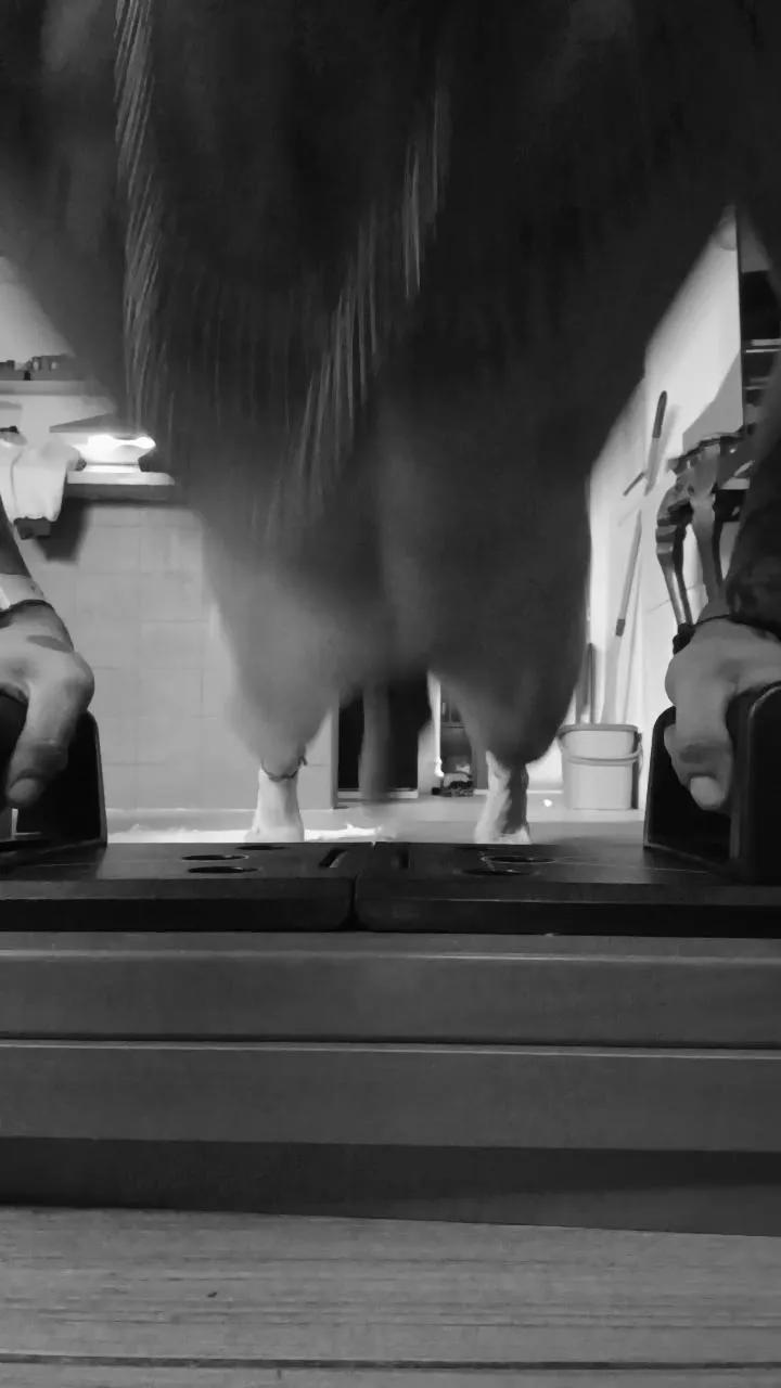 polt_hot on Cam4 