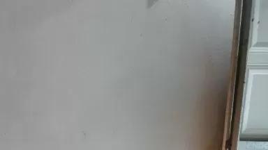 Puffshagswell on Cam4 