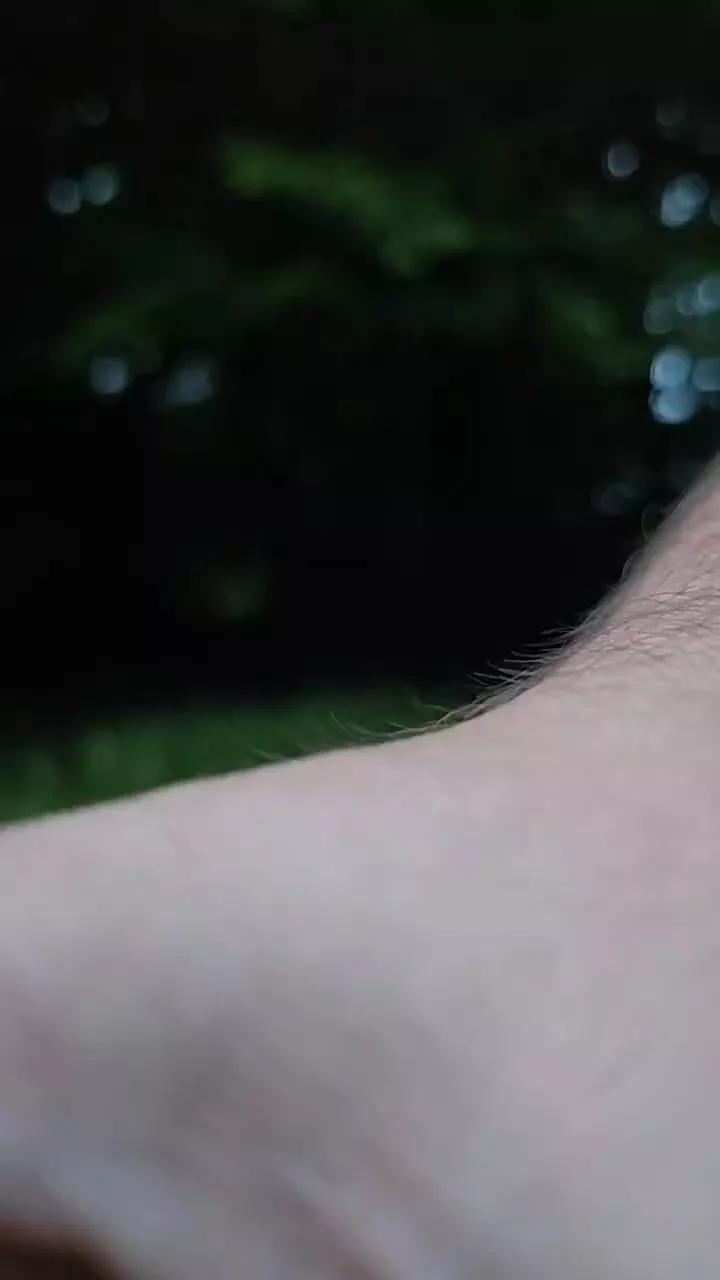 SexFan1992 on Cam4 