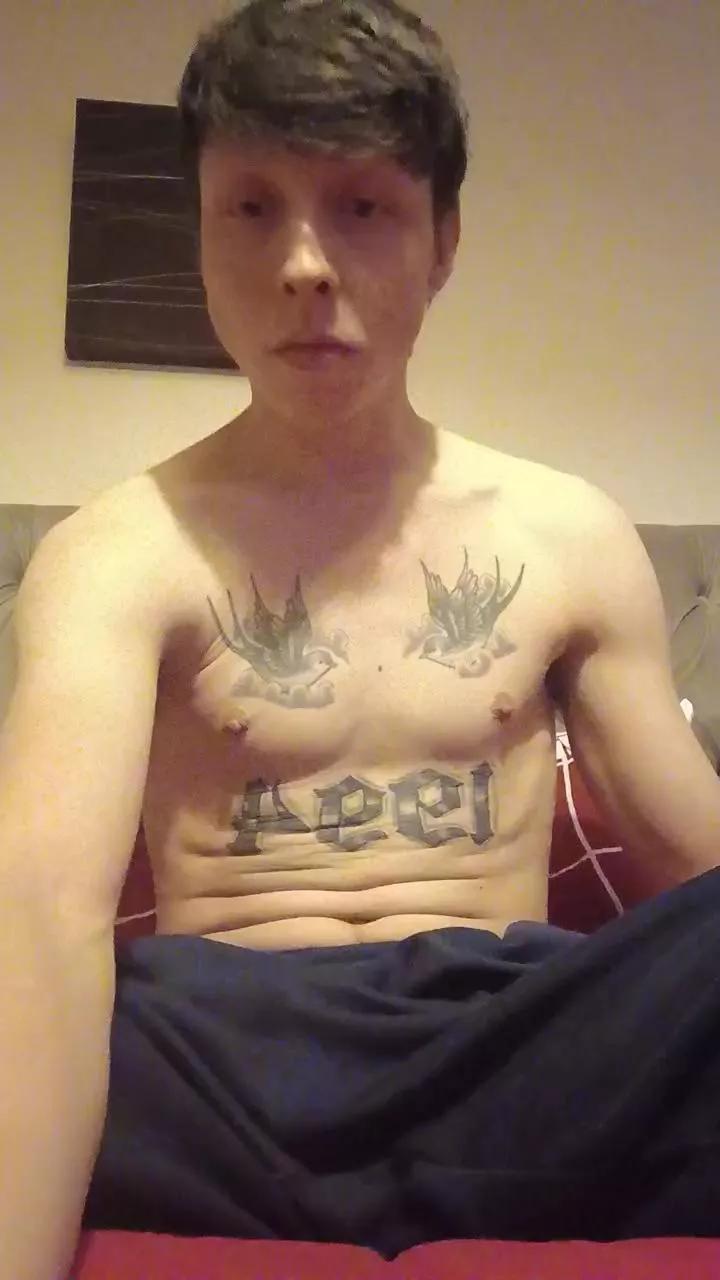 ShamCock on Cam4 