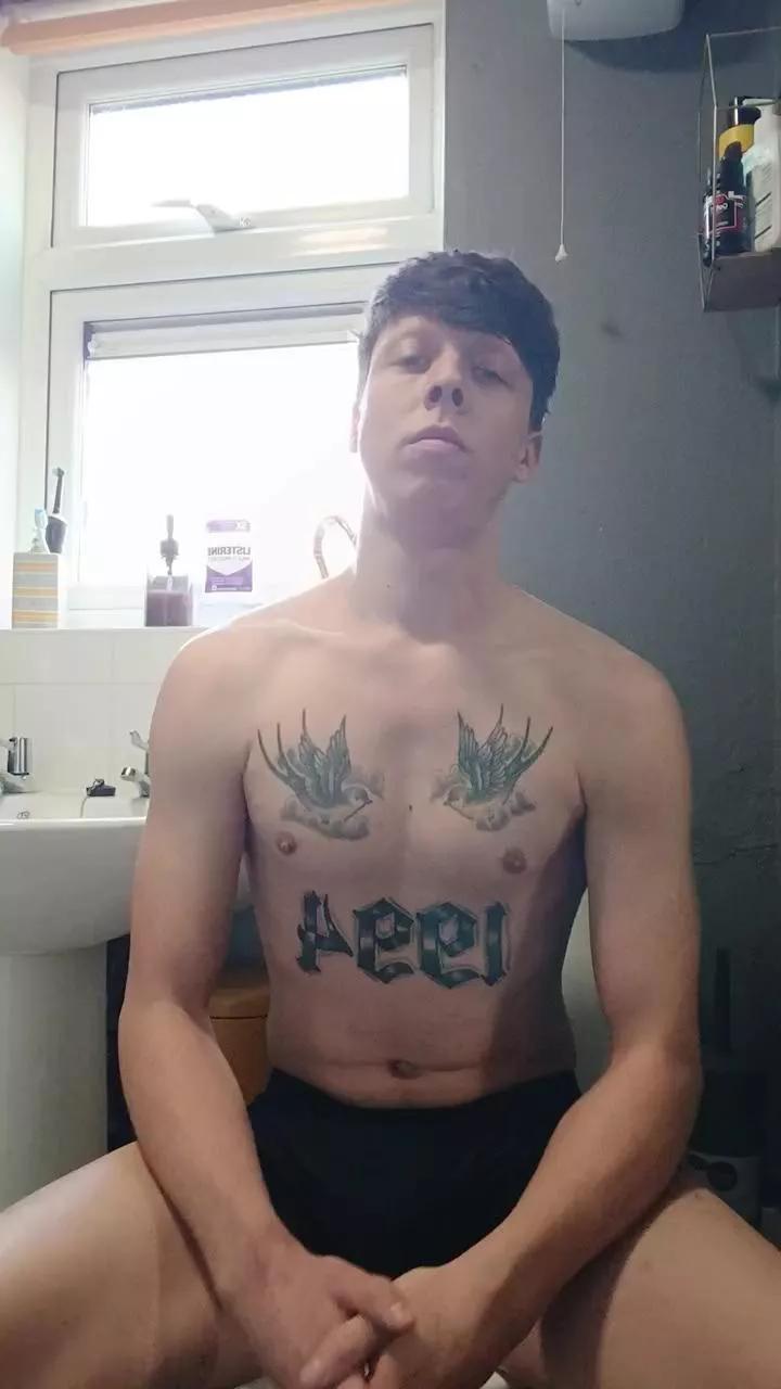 ShamCock on Cam4 