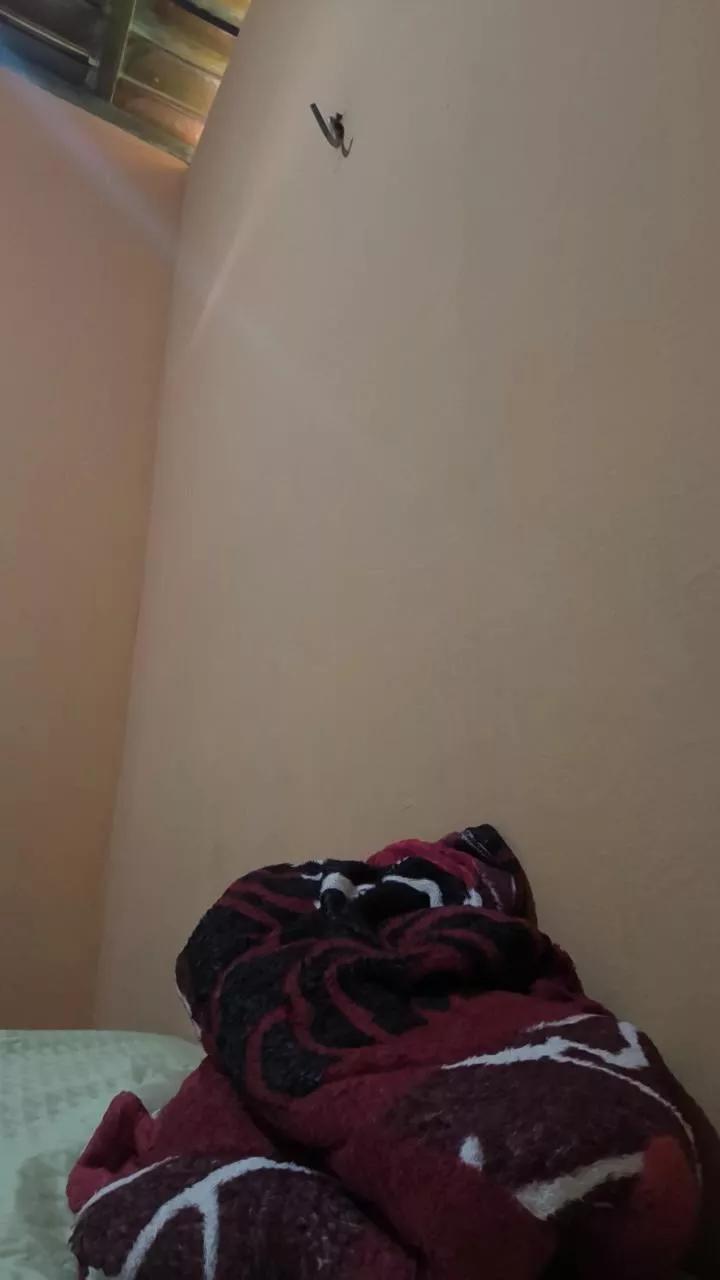 Van_aquino on Cam4 