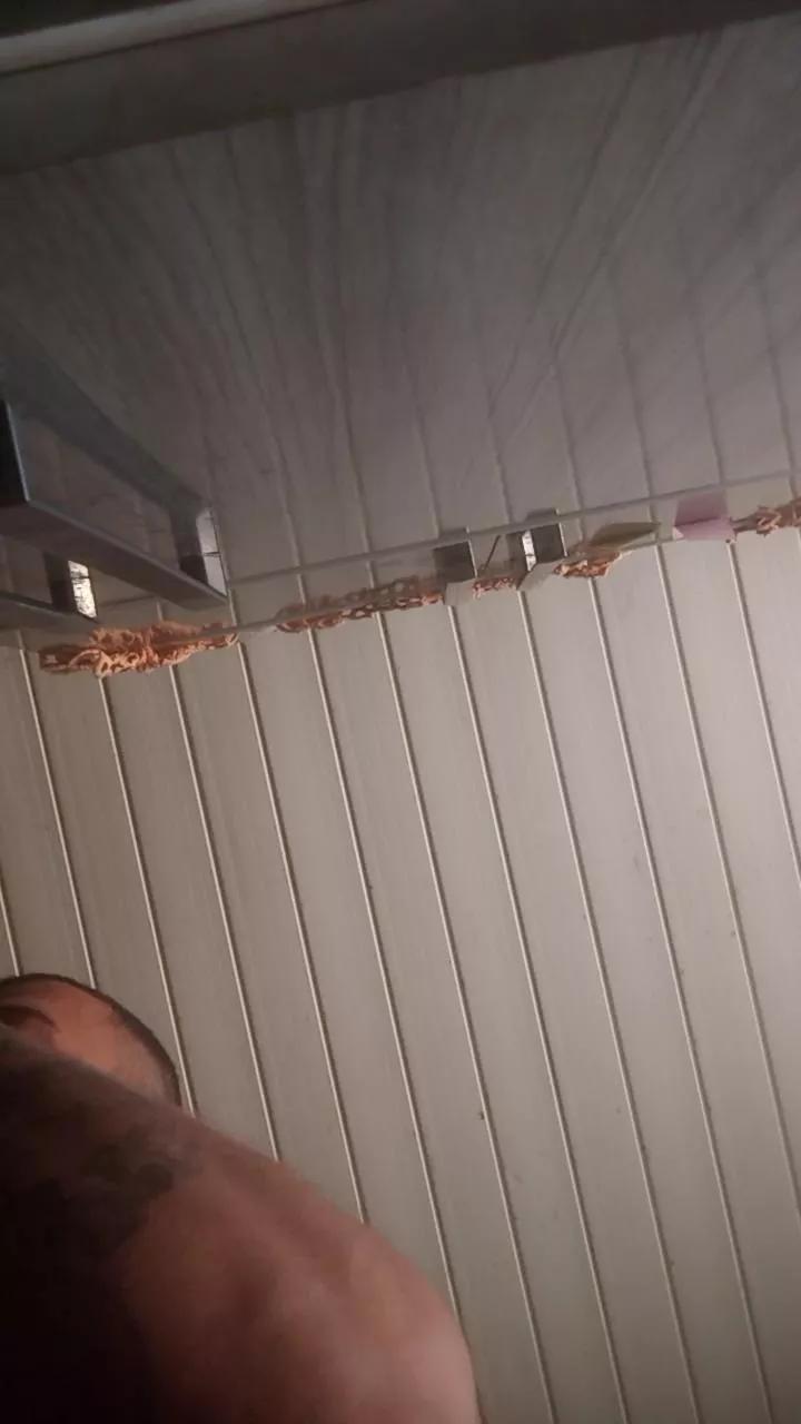 wilbert_sexy on Cam4 