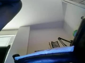 11inchtattedtrinibad on Chaturbate 