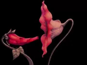 Freechat katsurotaro on Chaturbate