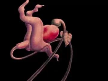 Freechat katsurotaro on Chaturbate