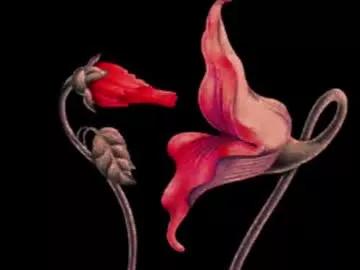 Freechat katsurotaro on Chaturbate