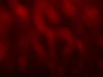 kloelamaravilla18 from Chaturbate