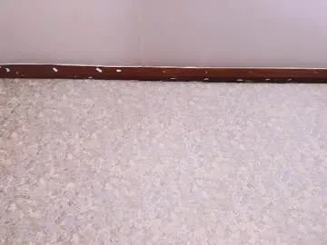 Freechat nicol_ferrer on Chaturbate