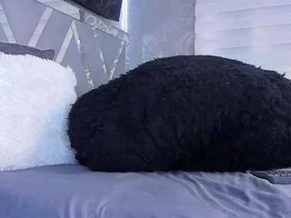 reynel_castro on Flirt4Free 