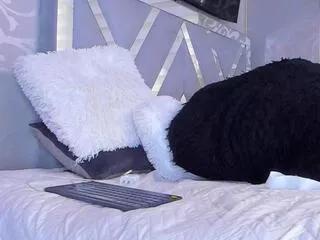 reynel_castro on Flirt4Free 