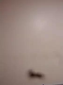 BriannaVincent on StripChat 