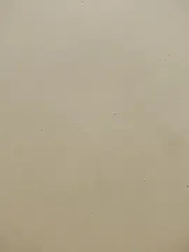 Indian_bhabhi01 on StripChat