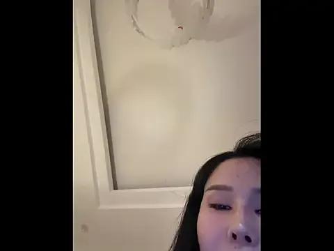 Model Xiaowan_x